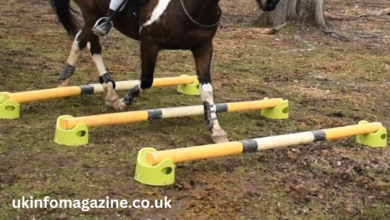 cheap homemade horse jumps ditch