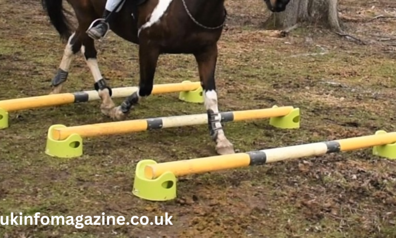 cheap homemade horse jumps ditch