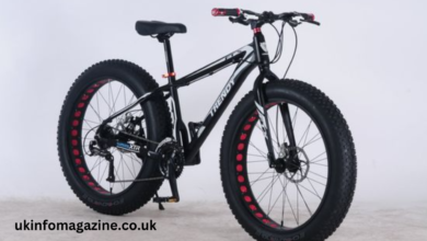 seastone cool fat bike to ebike