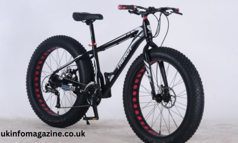 seastone cool fat bike to ebike