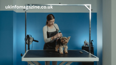 dog grooming table