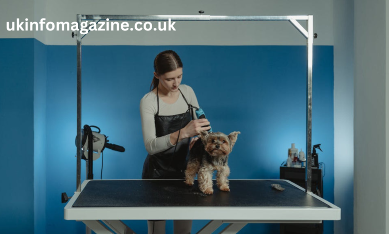 dog grooming table