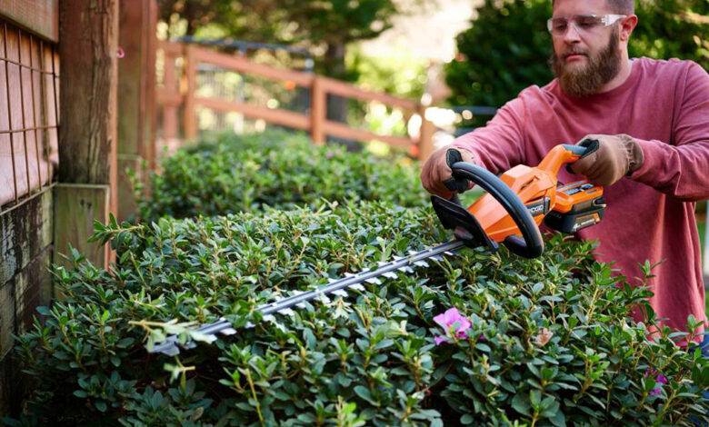 Hedge Trimming